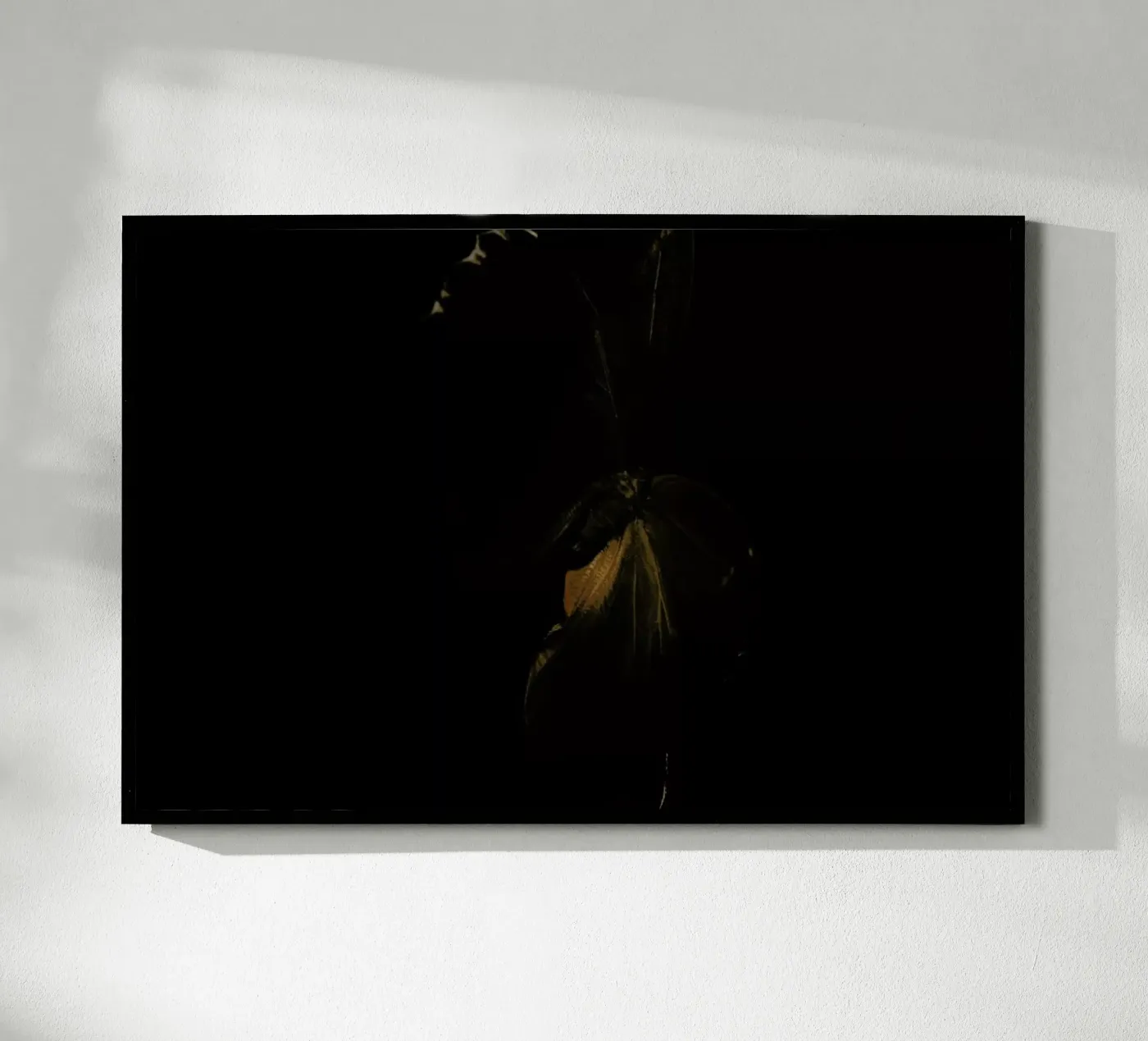 Butterflies 4 poster da Günther Egger