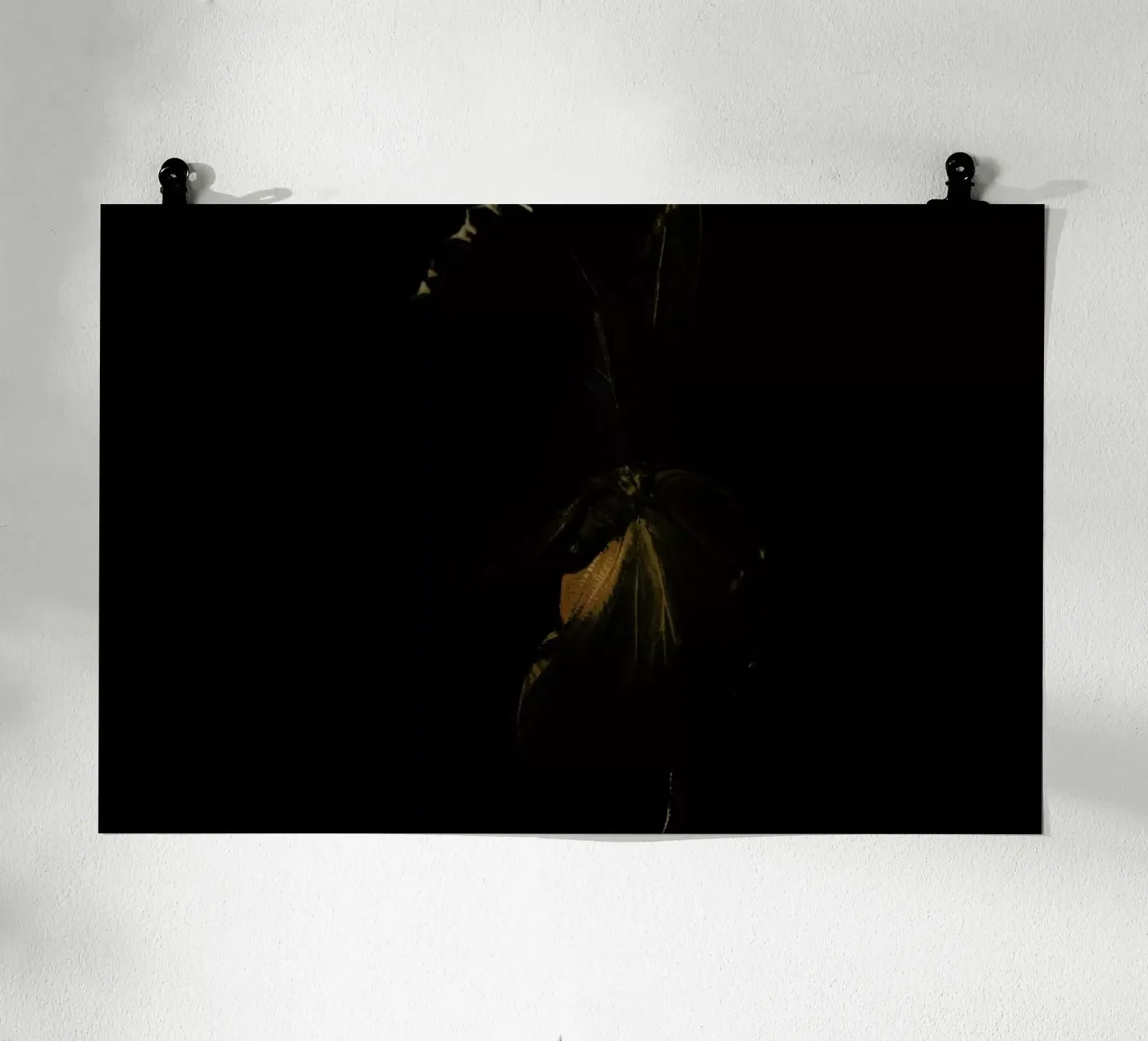 Butterflies 4 poster da Günther Egger