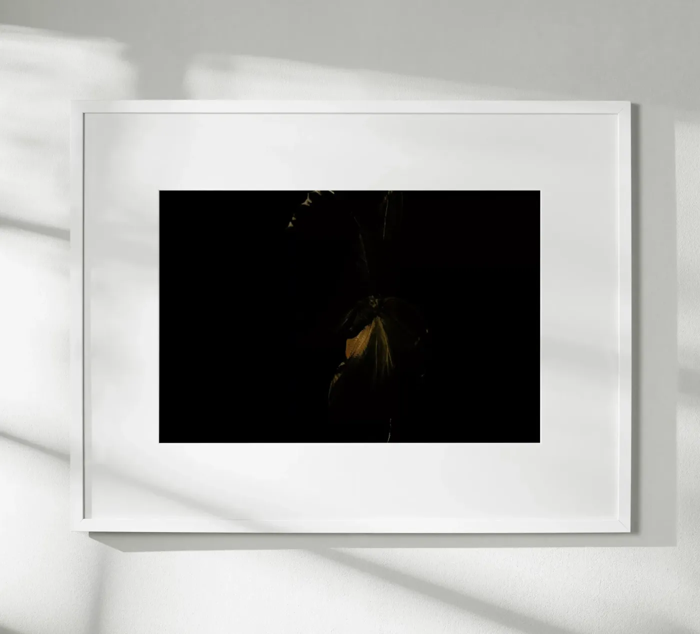 Butterflies 4 poster da Günther Egger