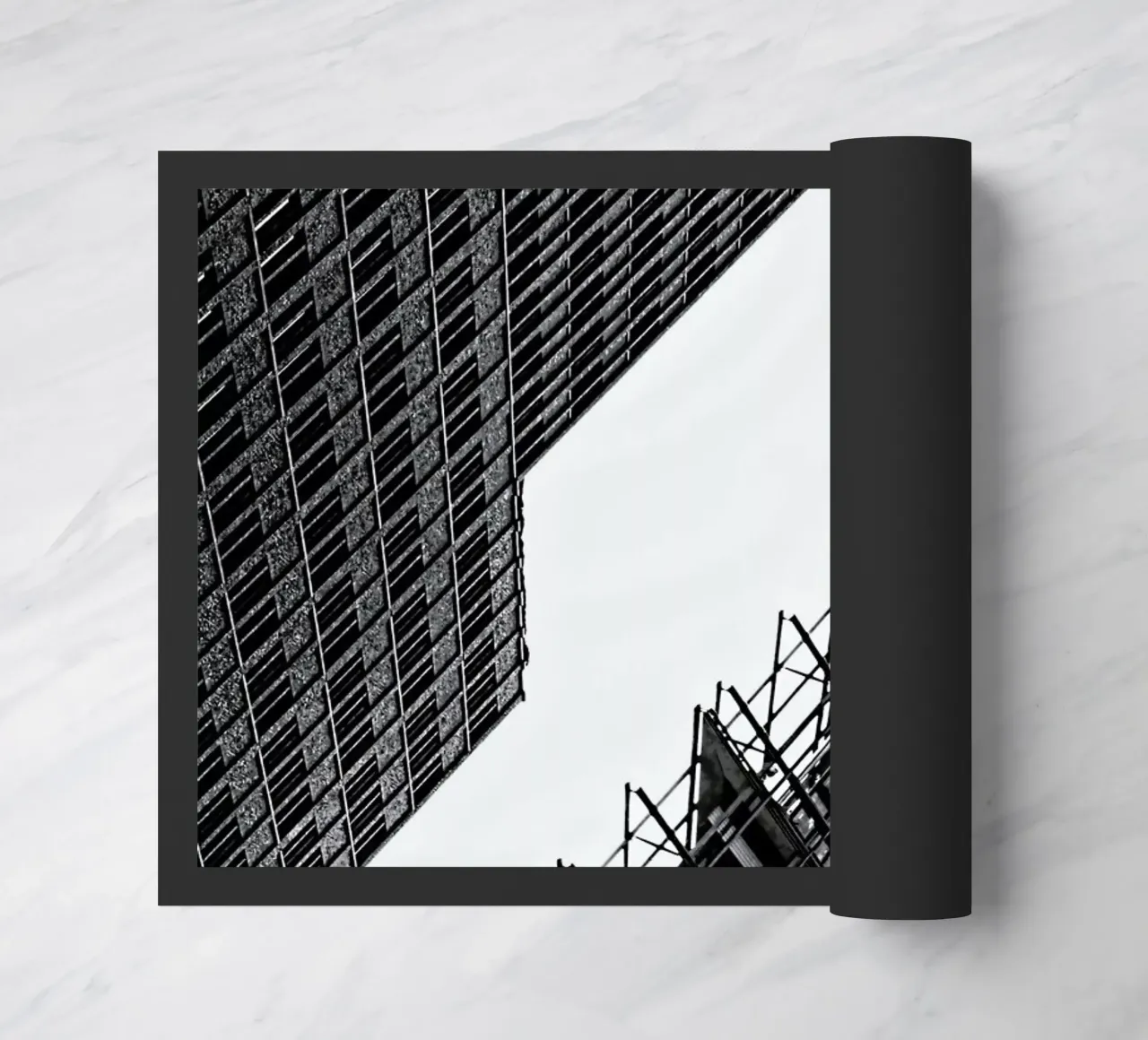 Collisionism zerbino da Efacts Photography