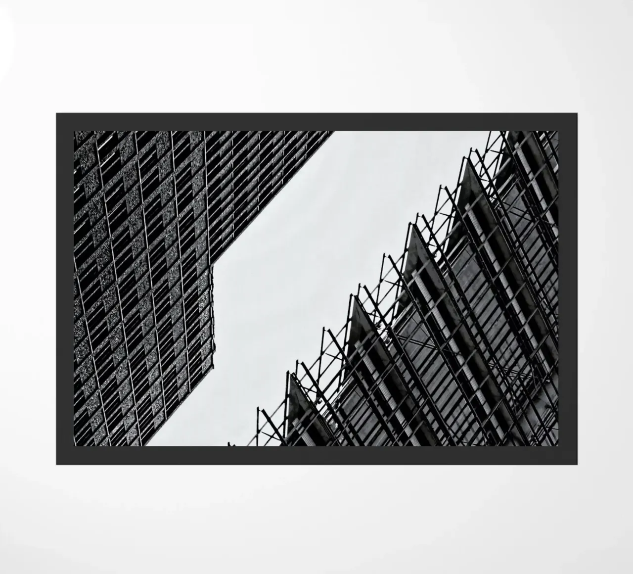 Collisionism zerbino da Efacts Photography