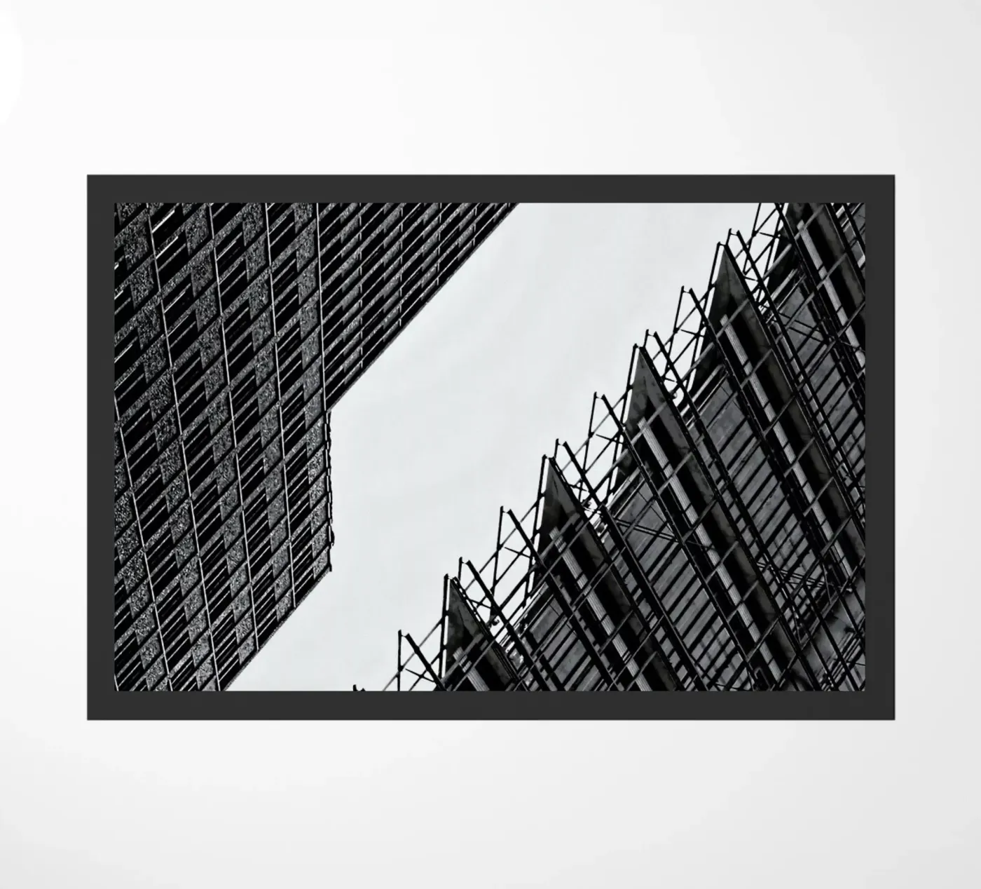 Collisionism zerbino da Efacts Photography