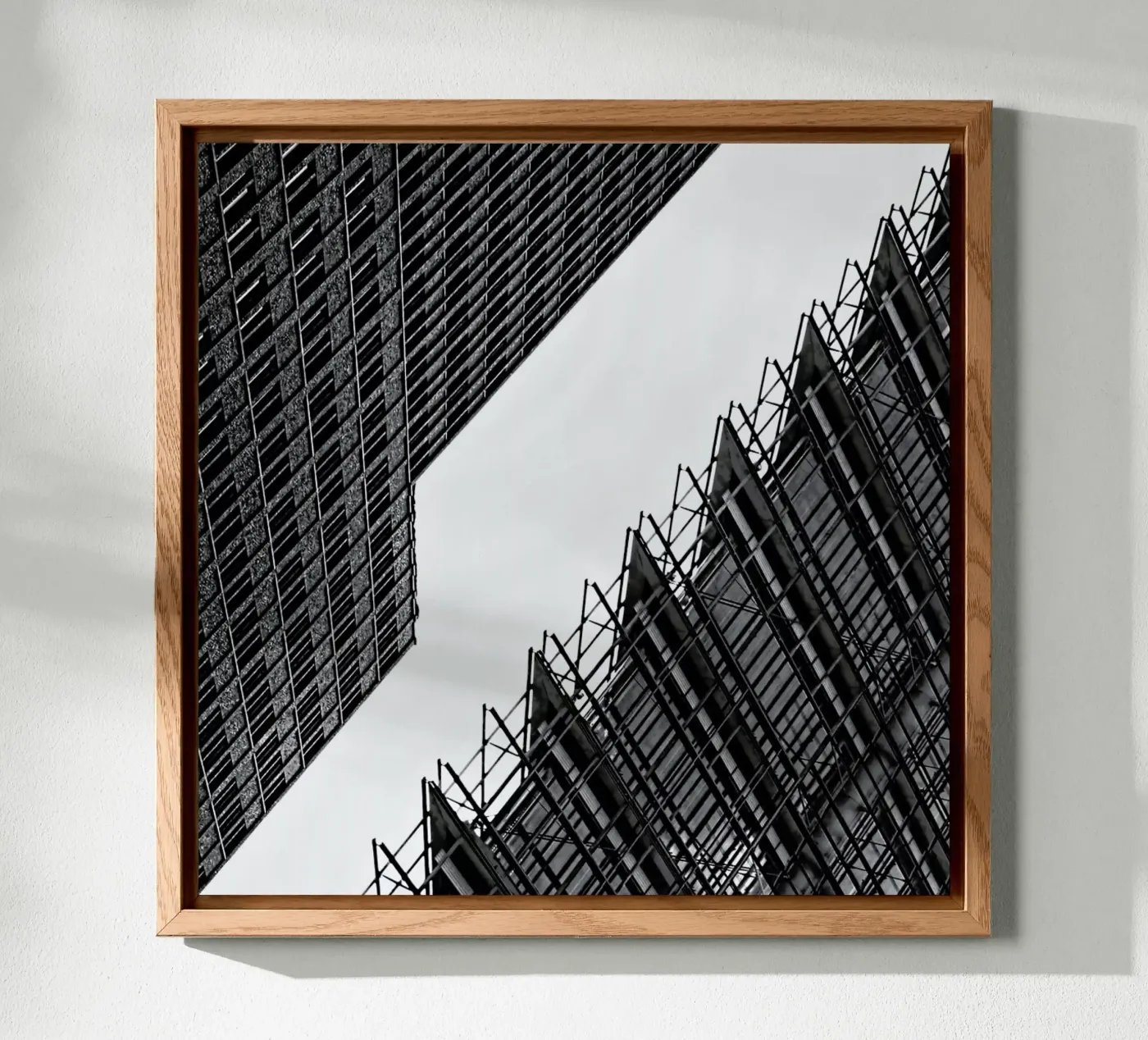 Collisionism forex plate by Efacts Photography