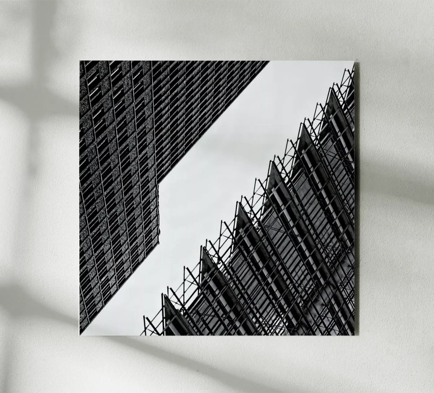 Collisionism forex plate by Efacts Photography