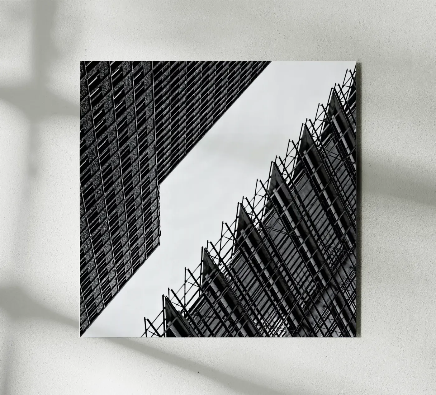 Collisionism alluminio dibond da Efacts Photography