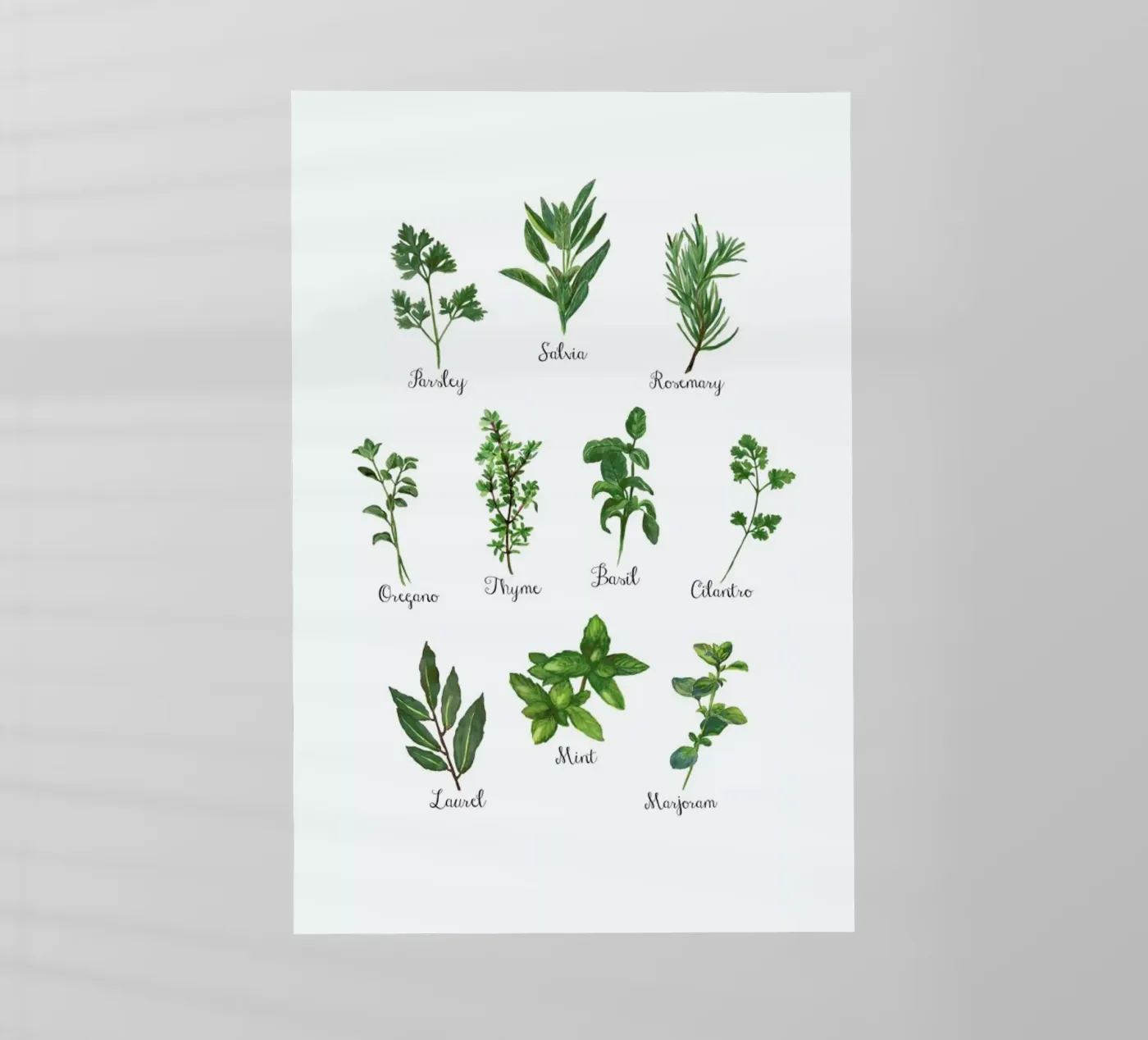 Herbs Collection pellicola backlit da Miles of Light