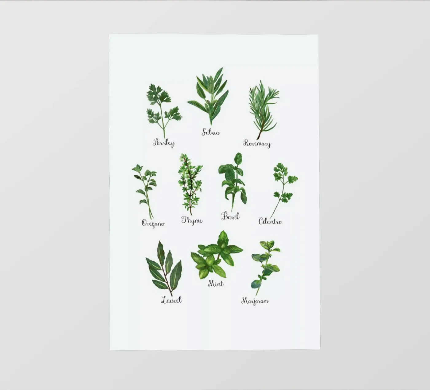 Herbs Collection pellicola backlit da Miles of Light