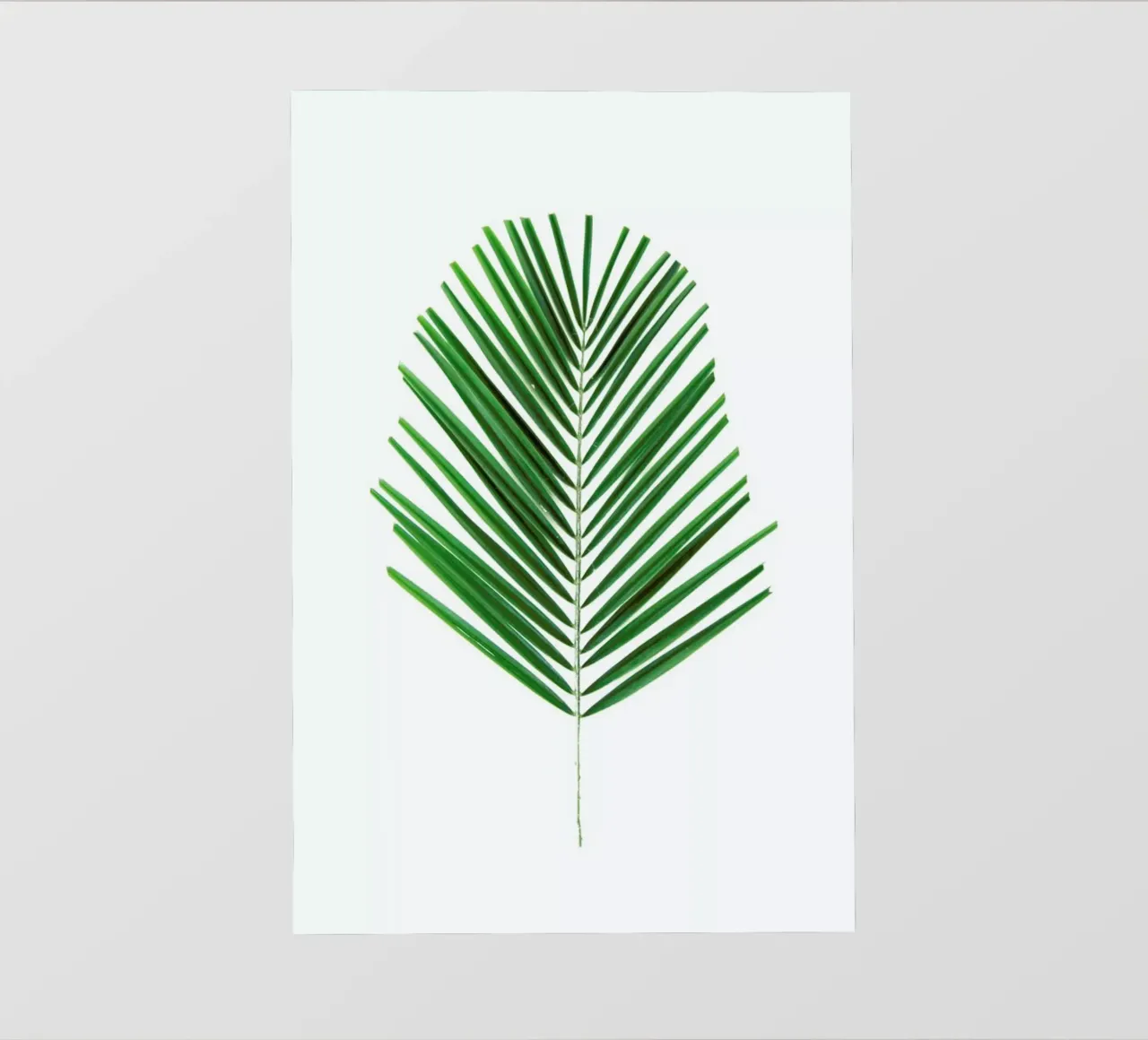 Palm telo in pvc da Miles of Light