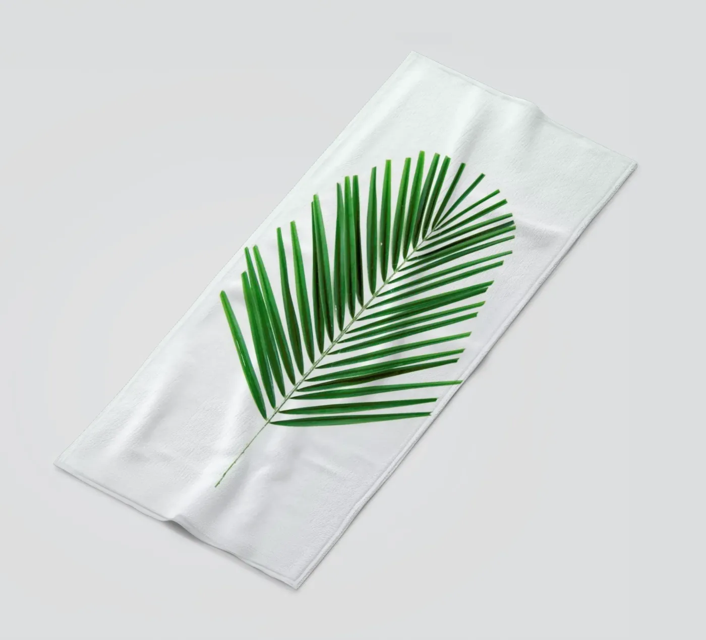 Palm telo mare da Miles of Light