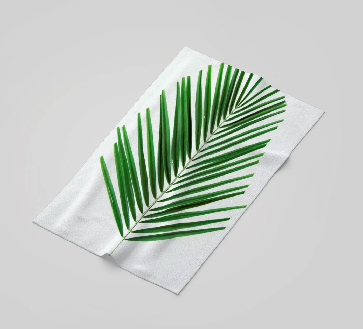 Palm telo mare da Miles of Light