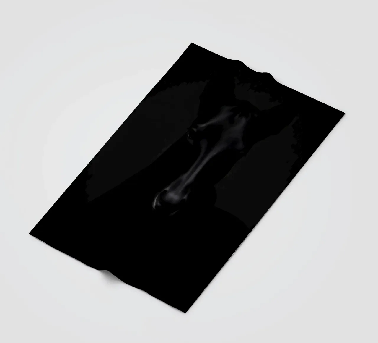 Intrigante cavallo nero in piedi in una stanza poco illuminata coperta in pile da DesignDoodle