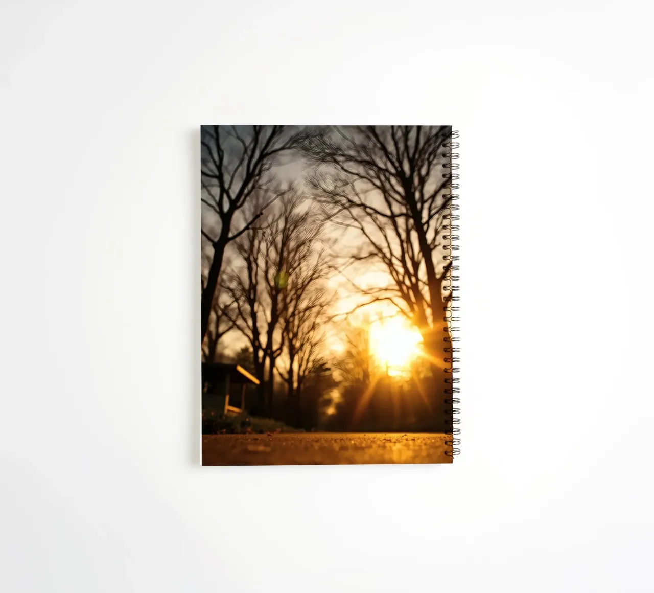 Sunset casting warm light through trees along quiet pathway spiral notebook by DesignDoodle