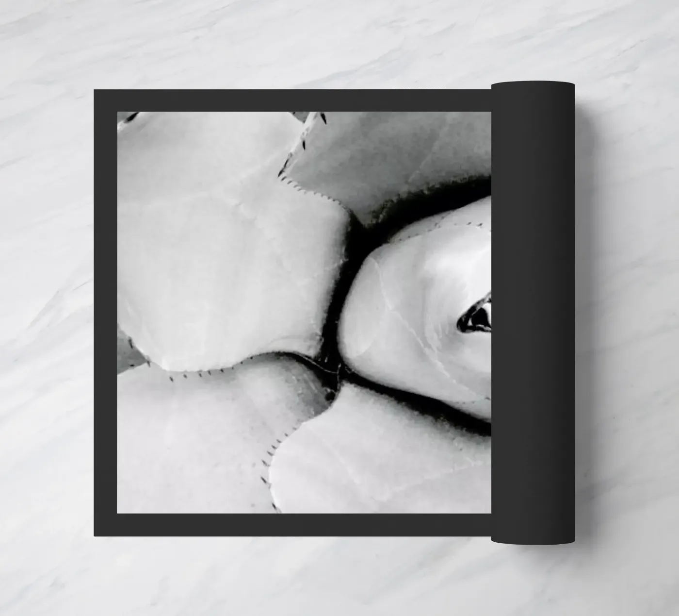 Agave doormat by Froilein Juno