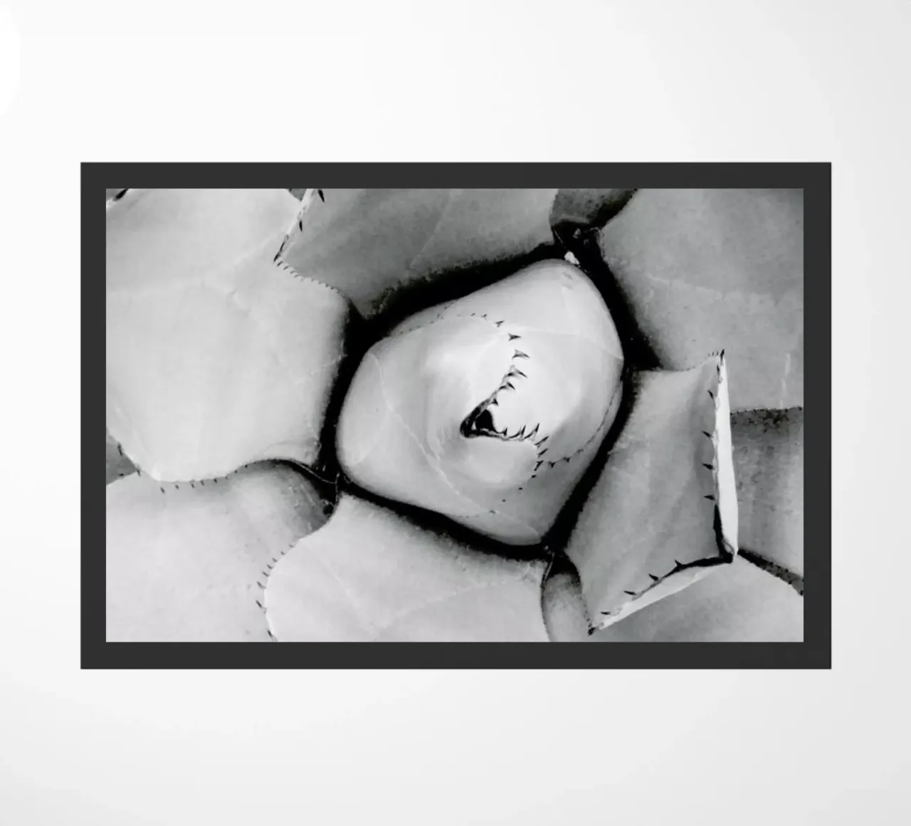 Agave doormat by Froilein Juno