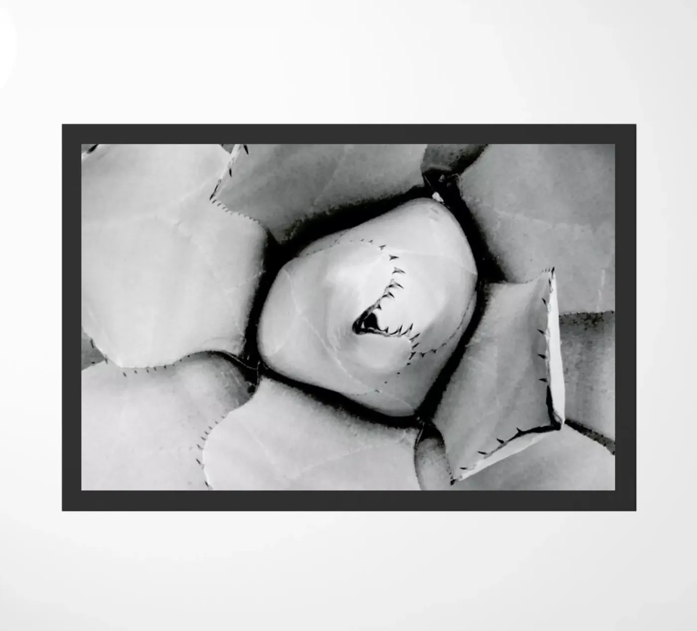 Agave doormat by Froilein Juno