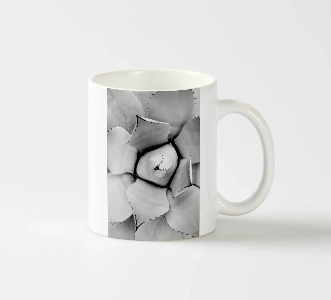 Agave ceramic mug by Froilein Juno
