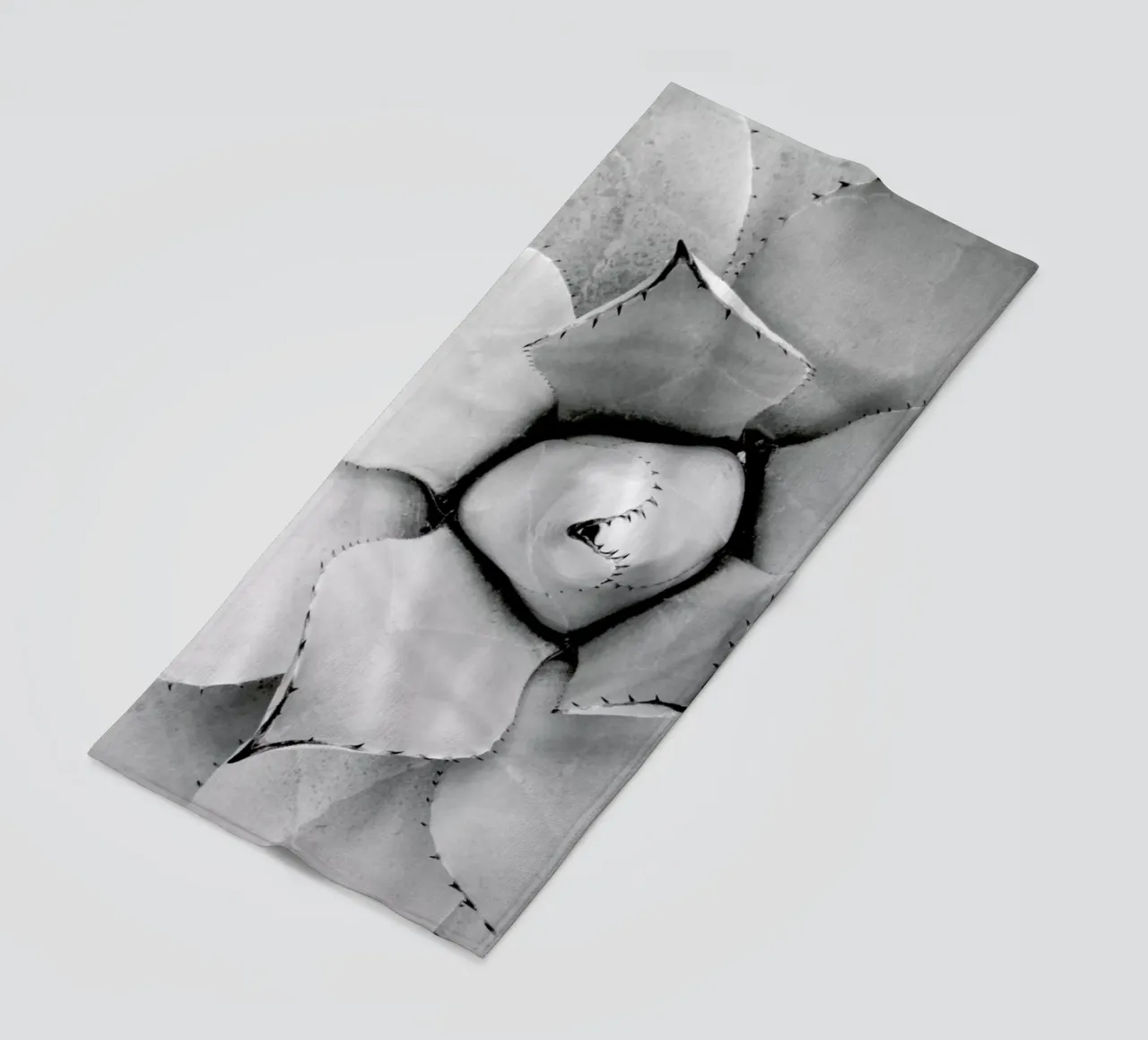 Agave telo mare da Froilein Juno