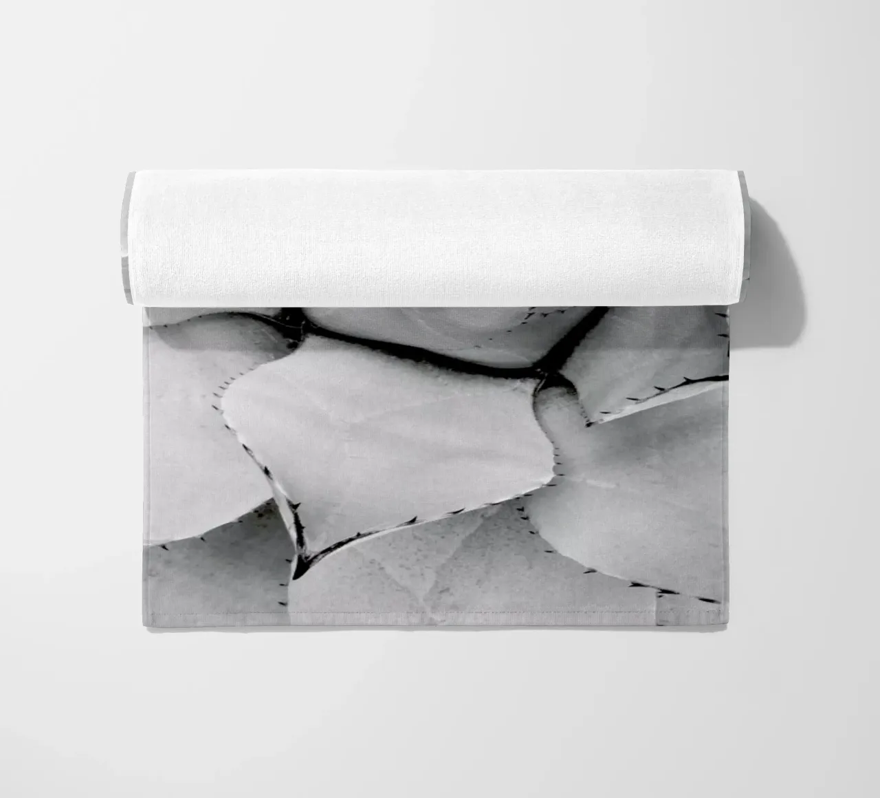 Agave telo mare da Froilein Juno