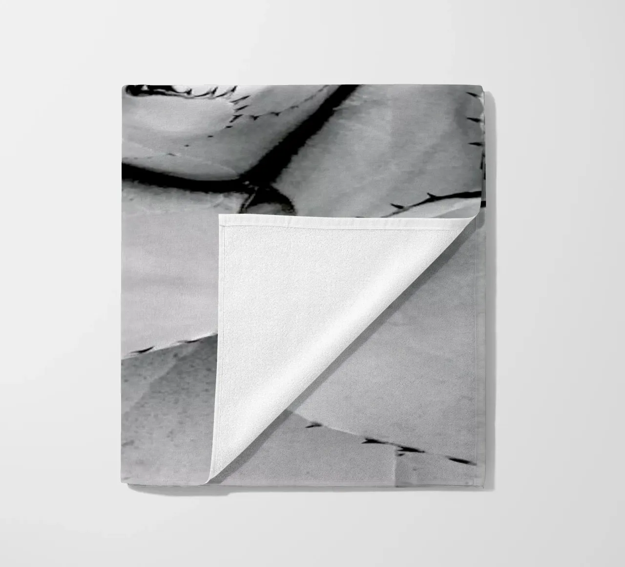 Agave telo mare da Froilein Juno