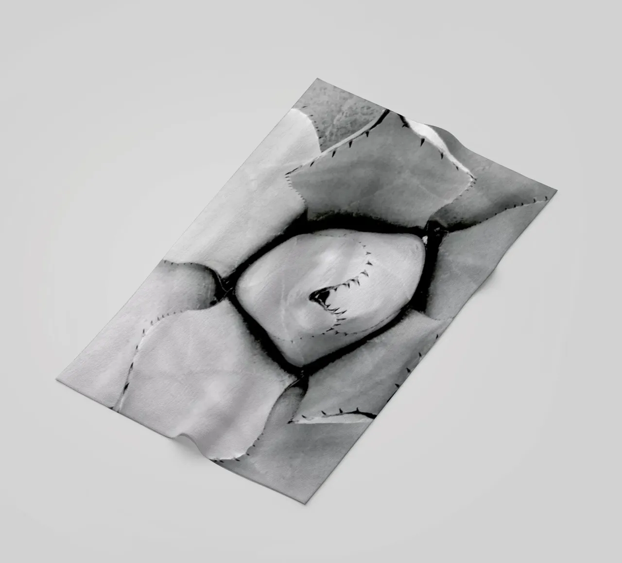 Agave telo mare da Froilein Juno