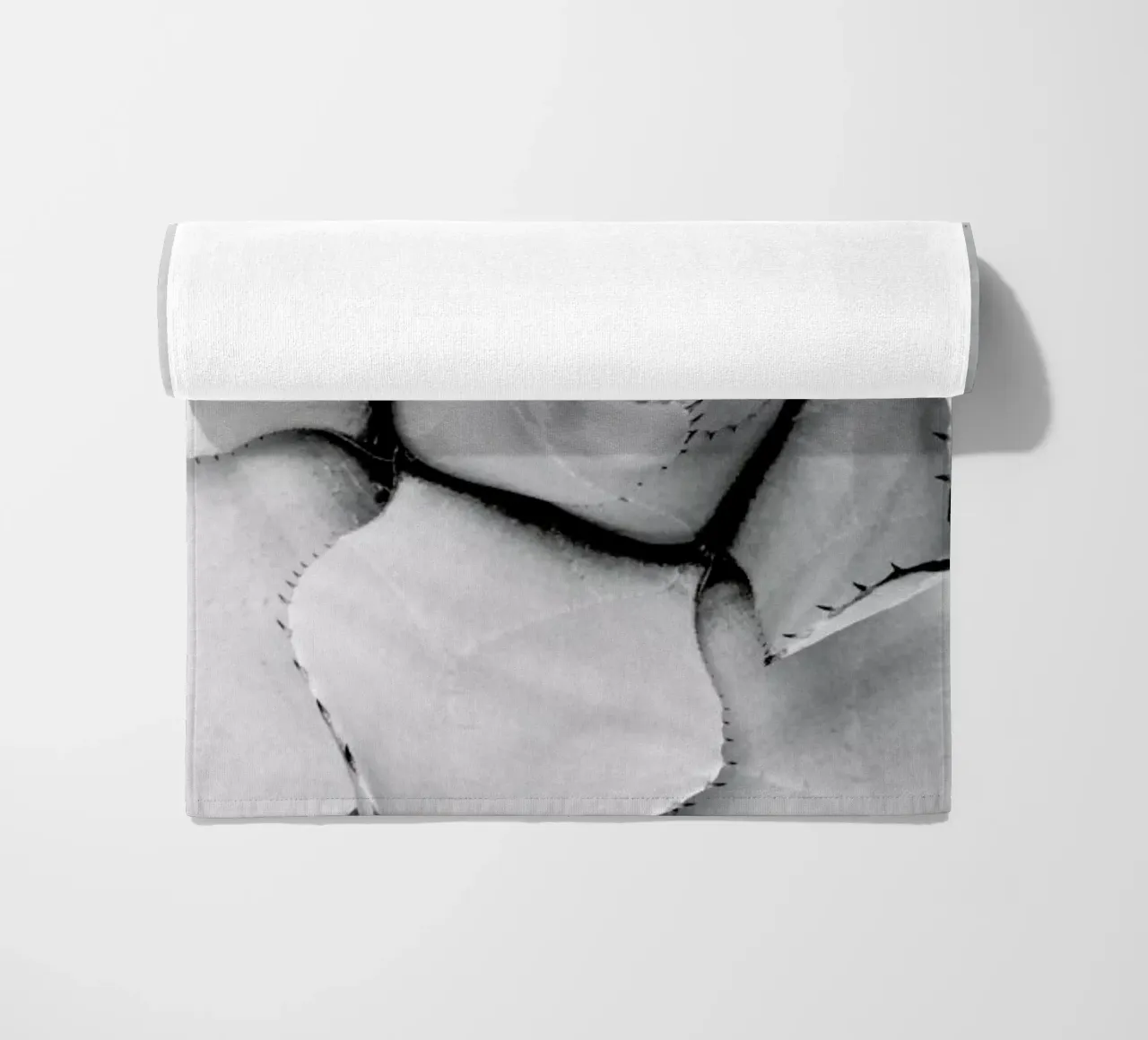 Agave telo mare da Froilein Juno