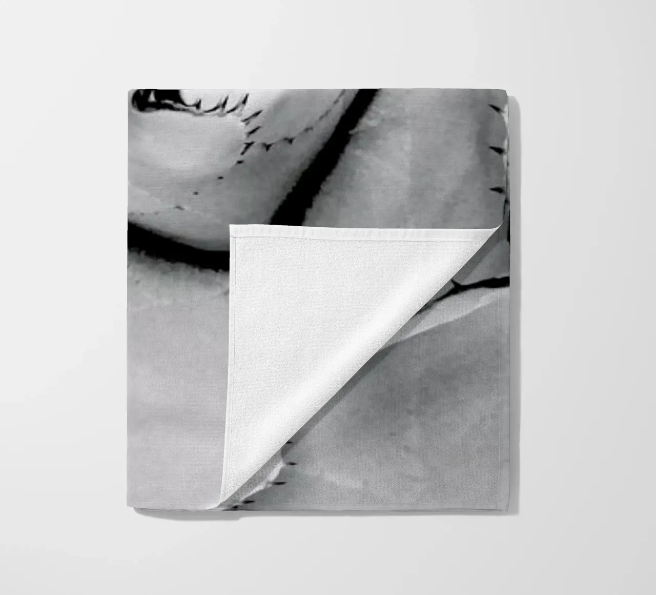 Agave telo mare da Froilein Juno