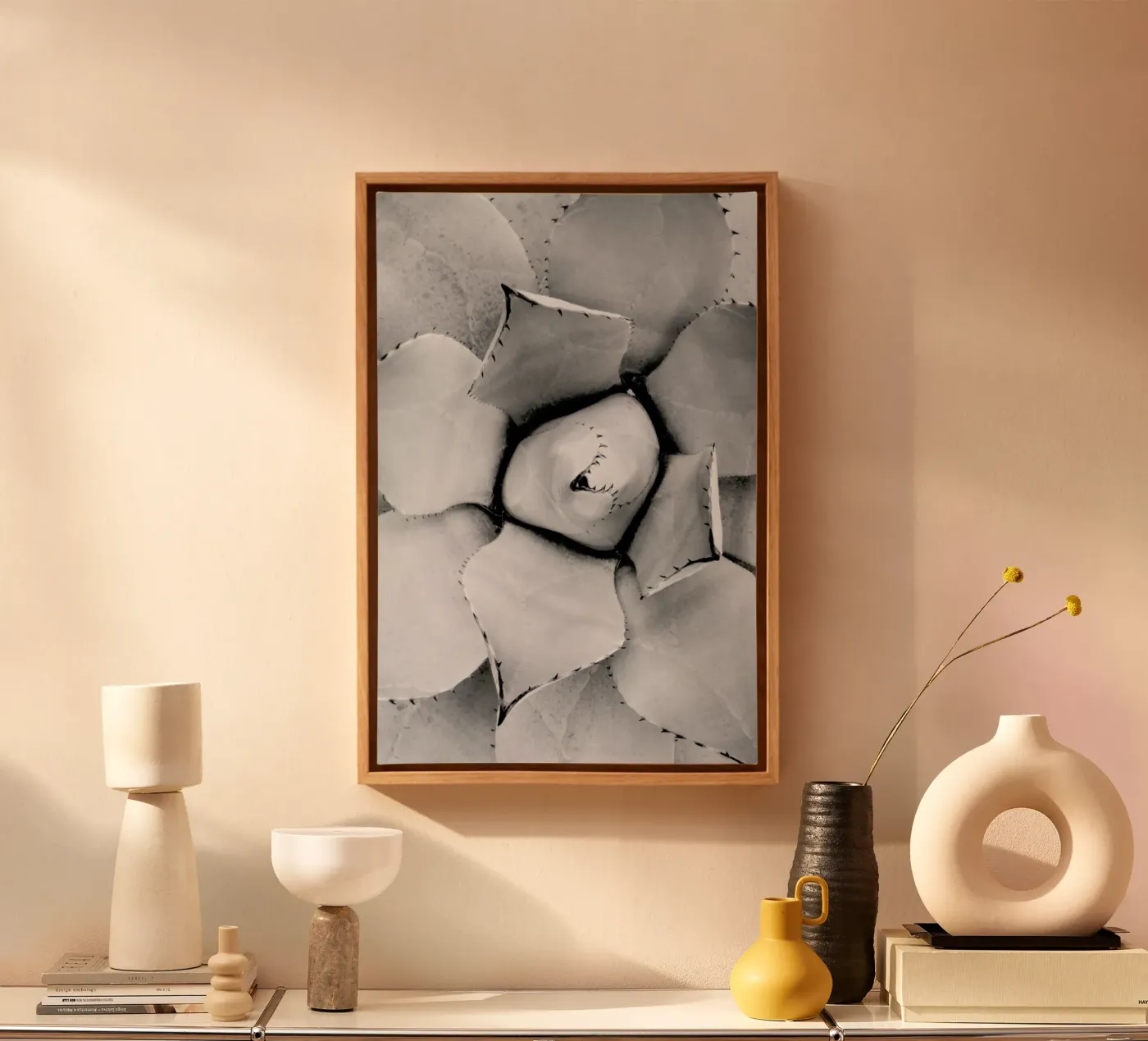 Agave tela da Froilein Juno