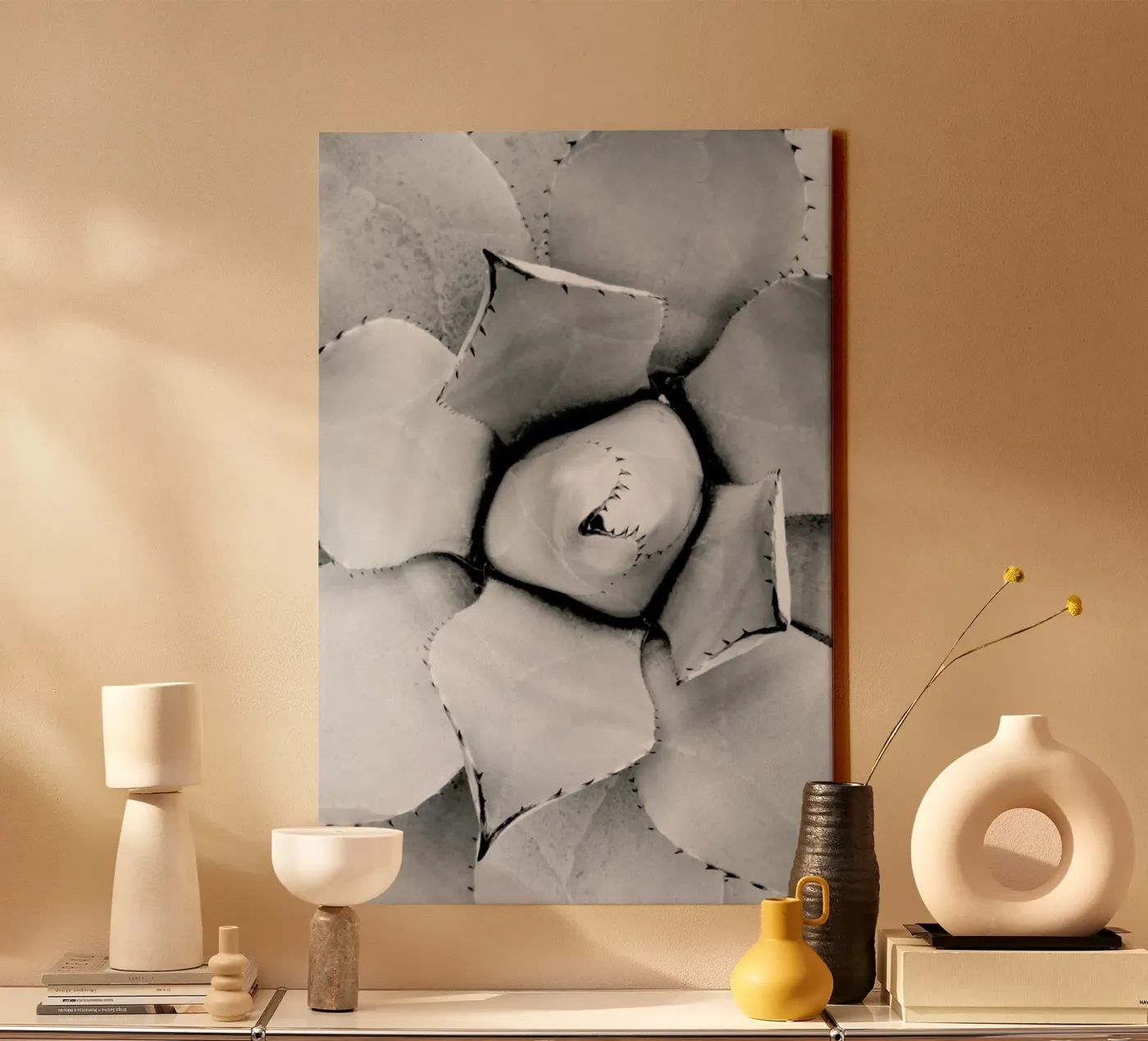 Agave tela da Froilein Juno