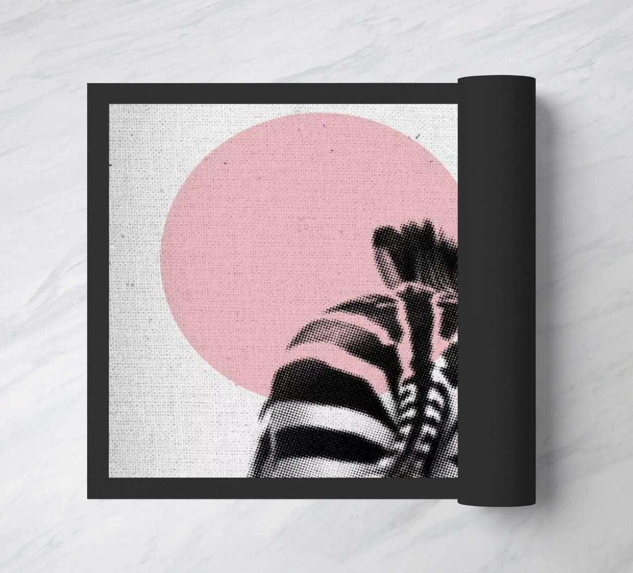 Zebra zerbino da Froilein Juno