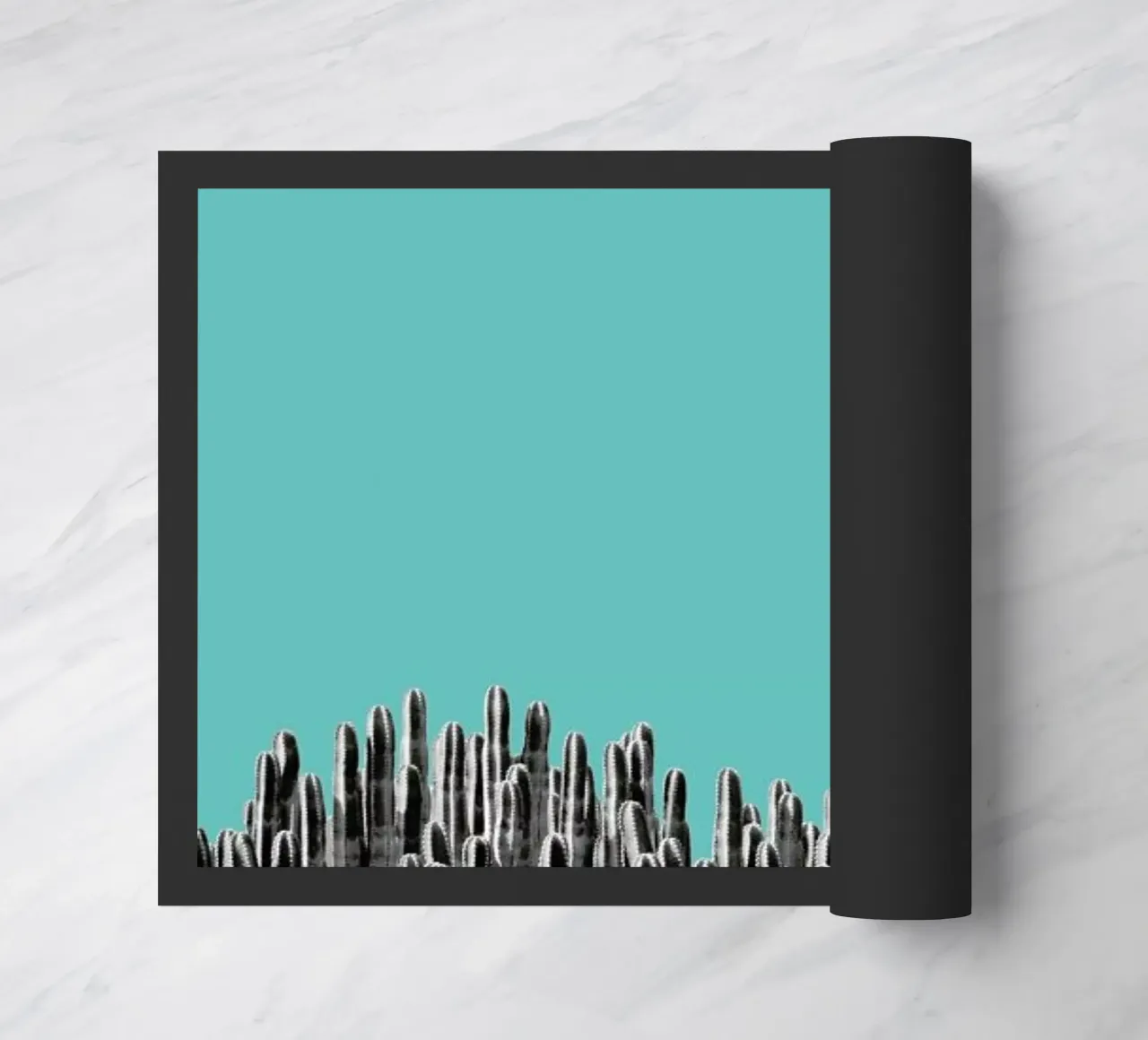 Cacti 01 zerbino da Froilein Juno