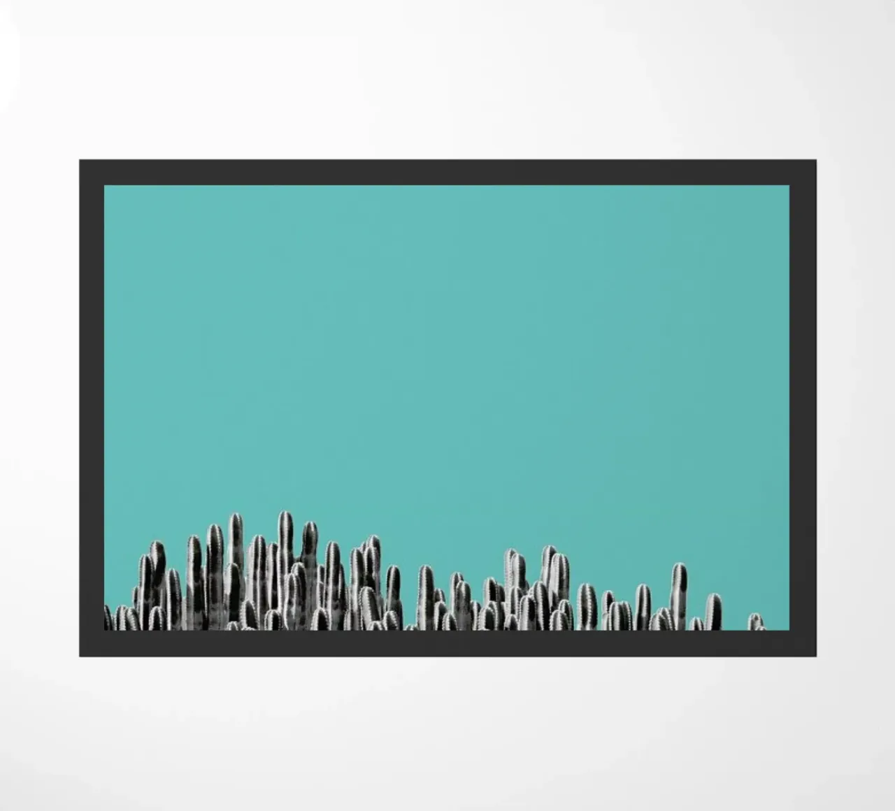 Cacti 01 zerbino da Froilein Juno