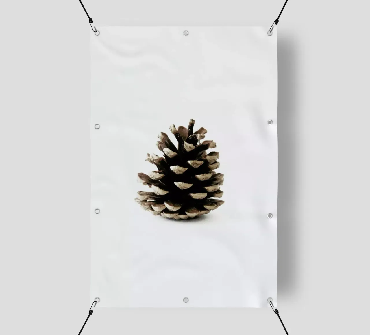 Pinecone N1 telo in pvc da Miles of Light