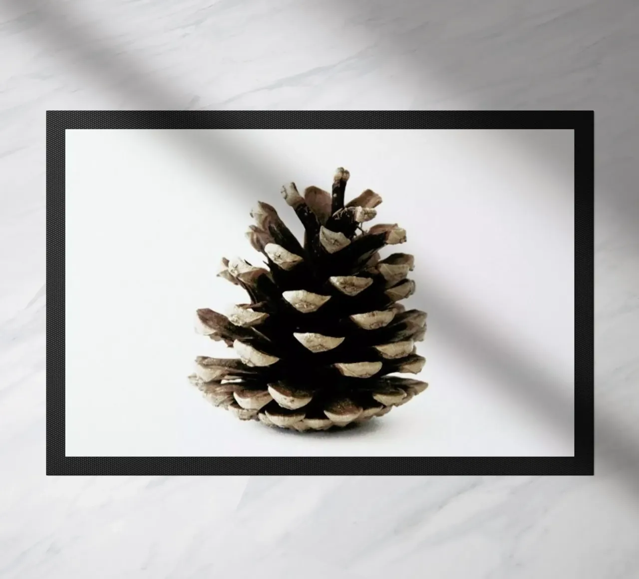 Pinecone N1 zerbino da Miles of Light