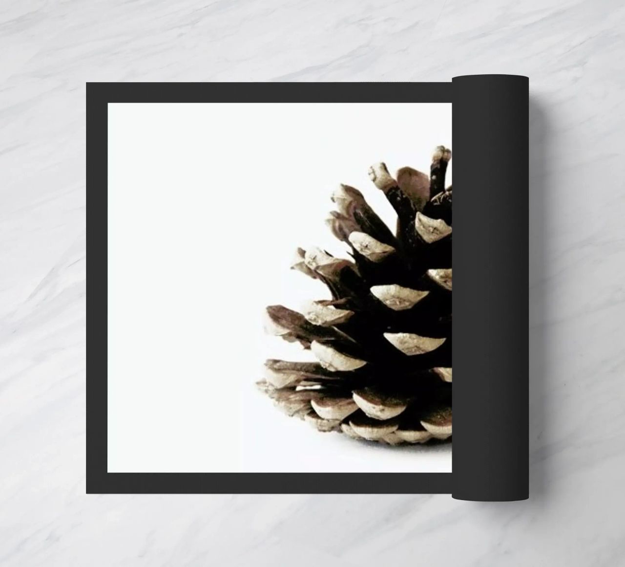 Pinecone N1 zerbino da Miles of Light