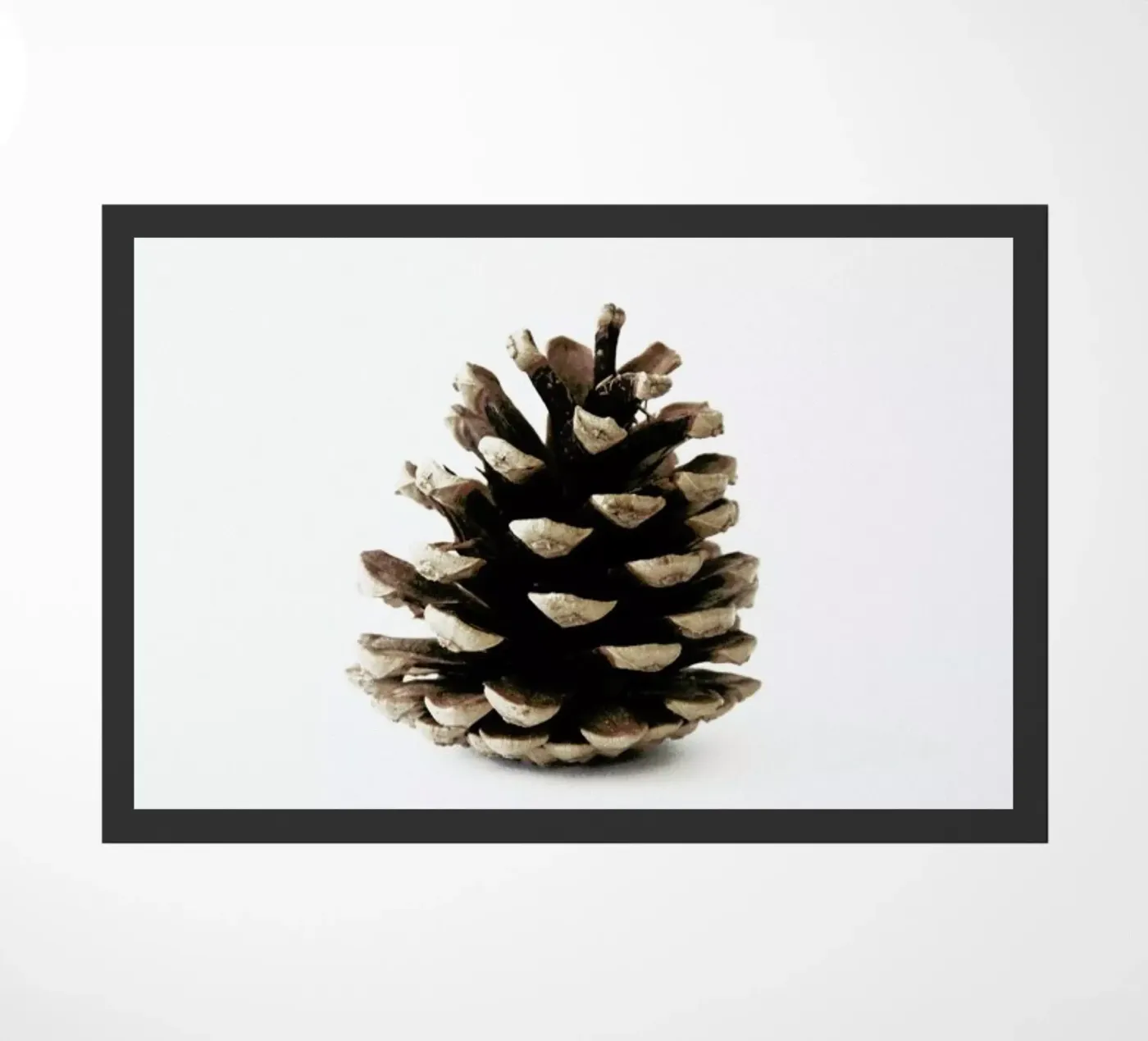 Pinecone N1 doormat by Miles of Light