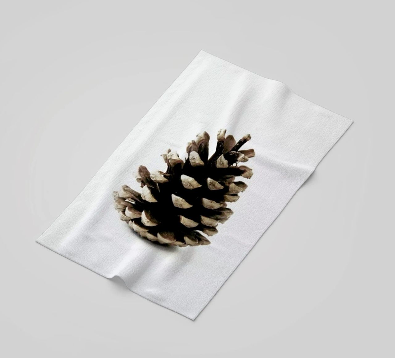 Pinecone N1 telo mare da Miles of Light