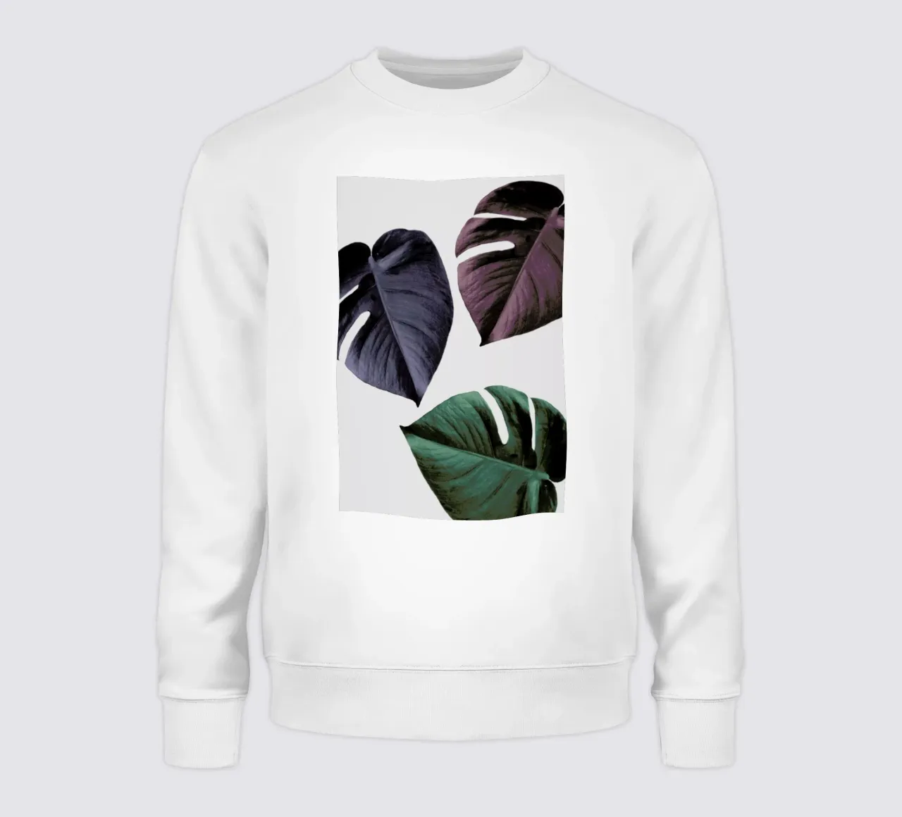 Monstera 02 felpa da Froilein Juno