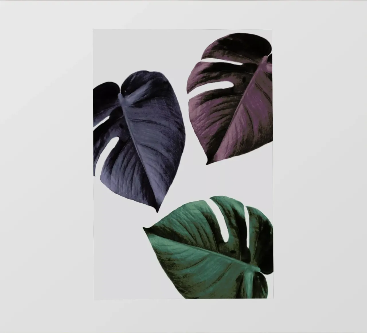 Monstera 02 pellicola backlit da Froilein Juno
