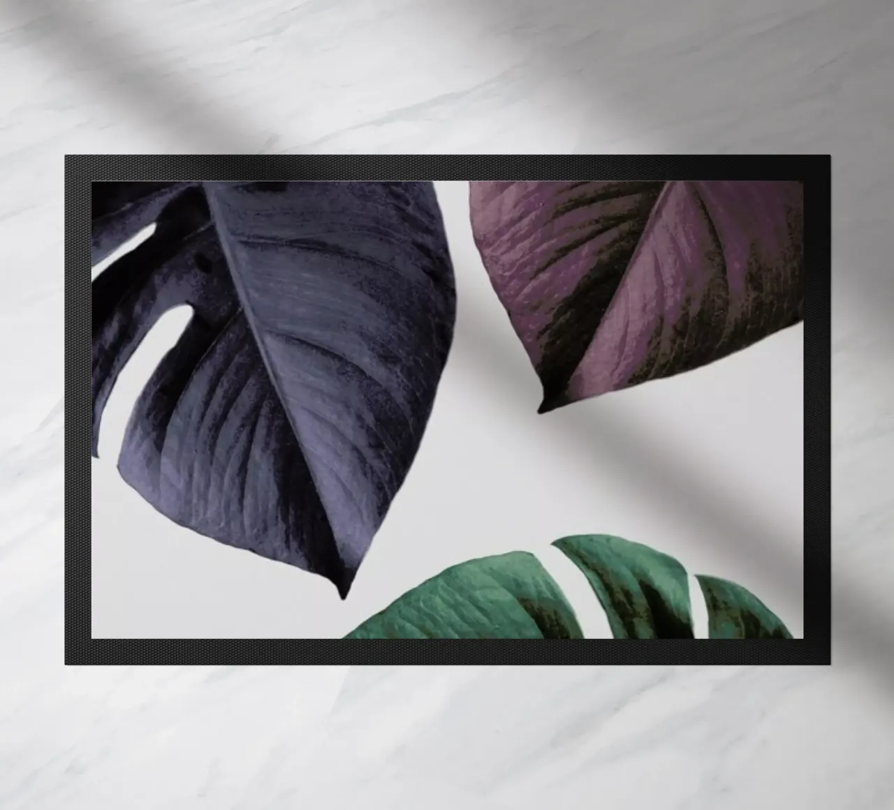 Monstera 02 zerbino da Froilein Juno