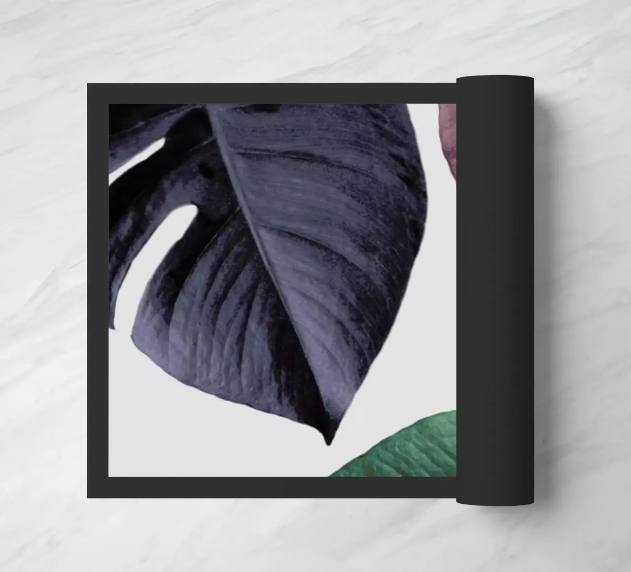 Monstera 02 zerbino da Froilein Juno