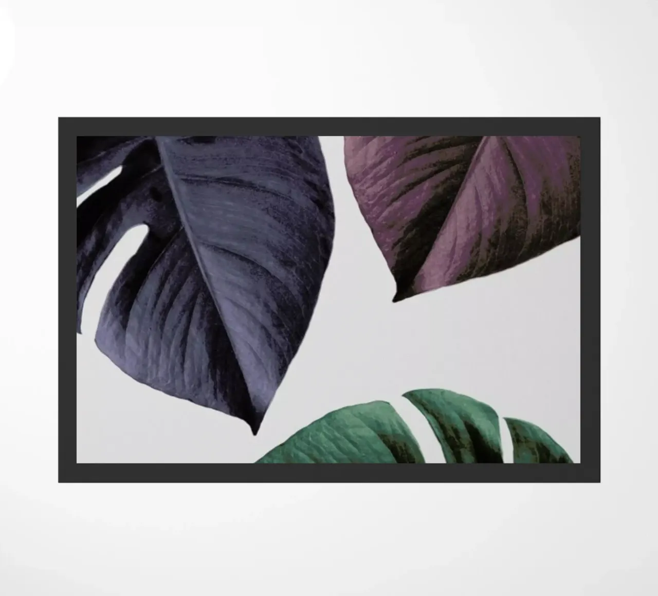 Monstera 02 zerbino da Froilein Juno