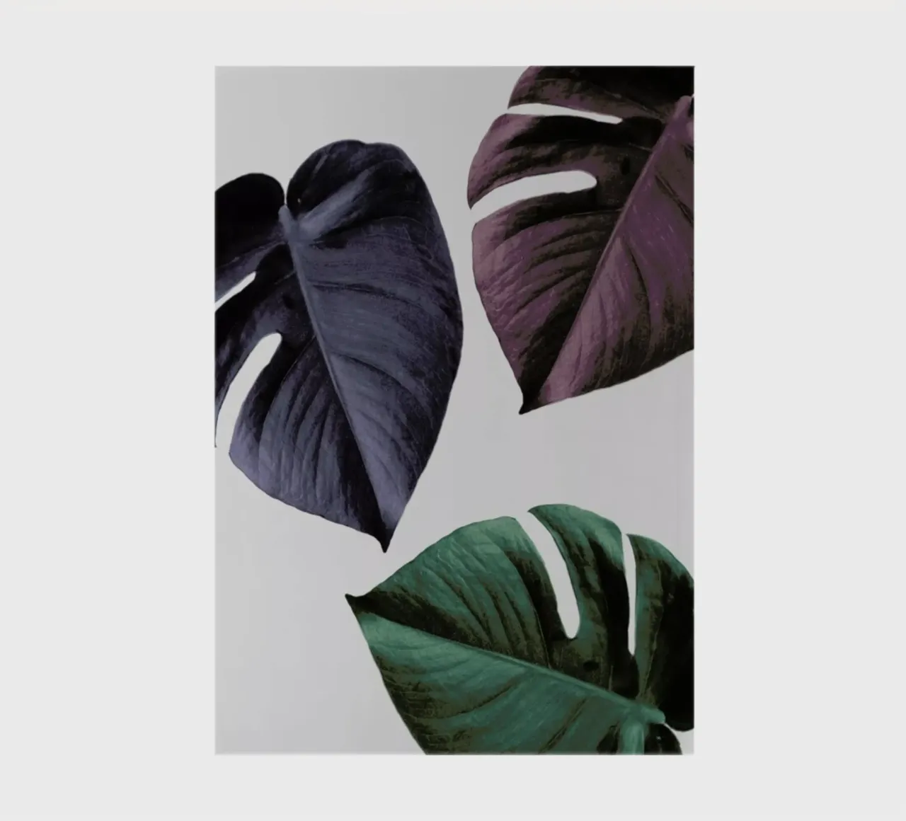 Monstera 02 notebook by Froilein Juno