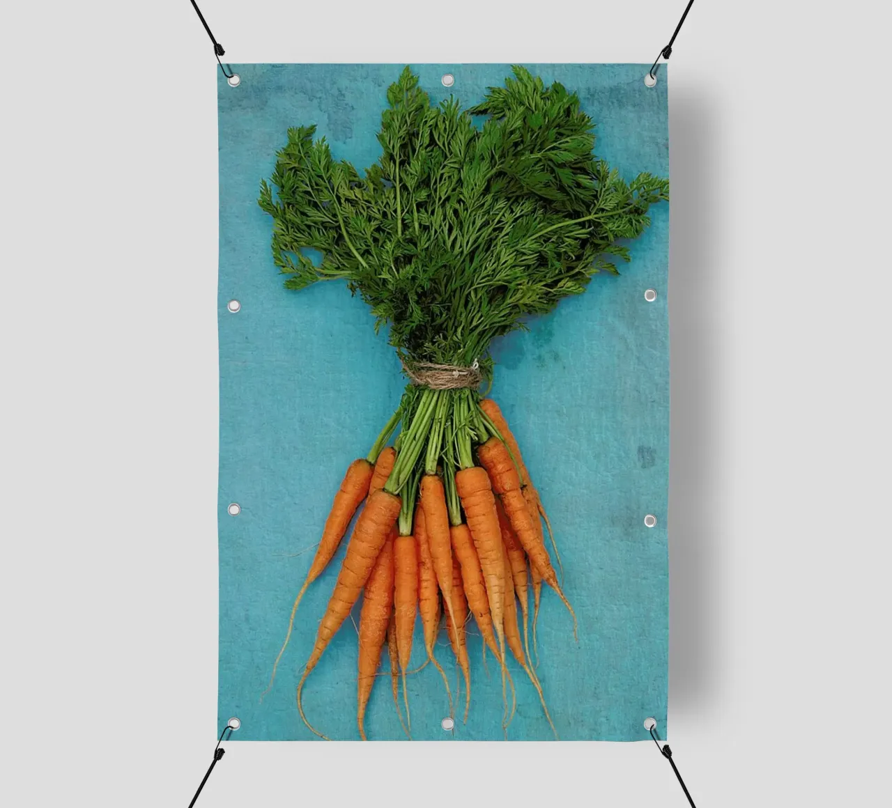 Carrots telo in pvc da Keri Bevan