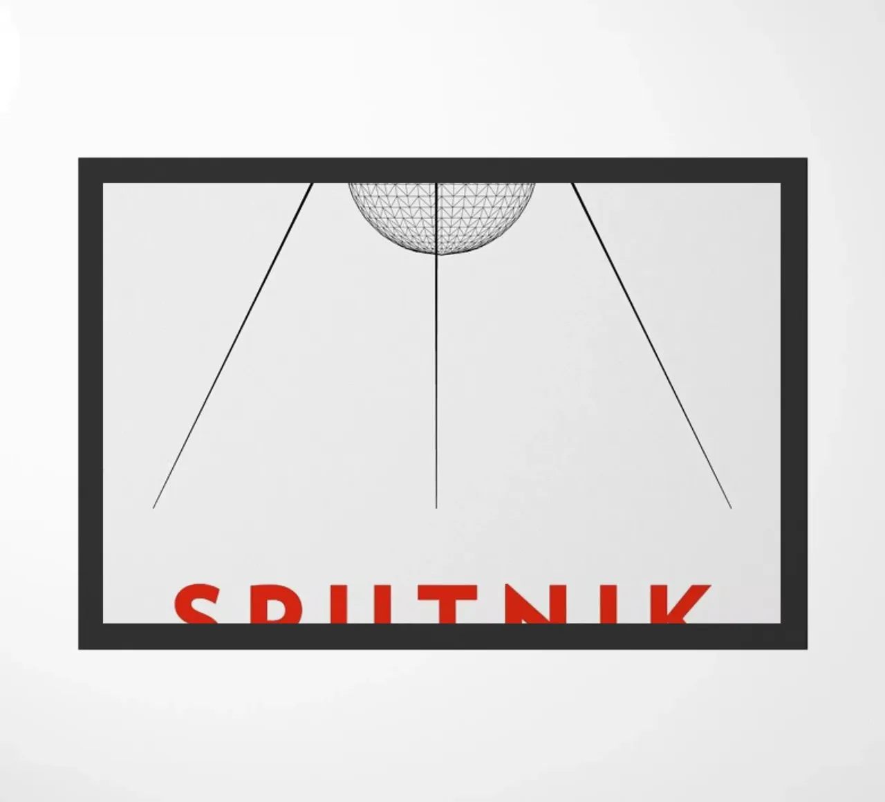 Sputnik 2 zerbino da Marc Schulthess