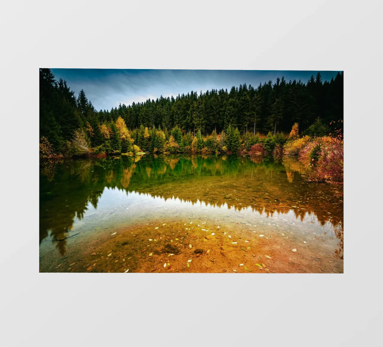 Riflesso della foresta nel "laghetto" di Oberwiesenthal telo in pvc da Marcus Beckert | Fotografie