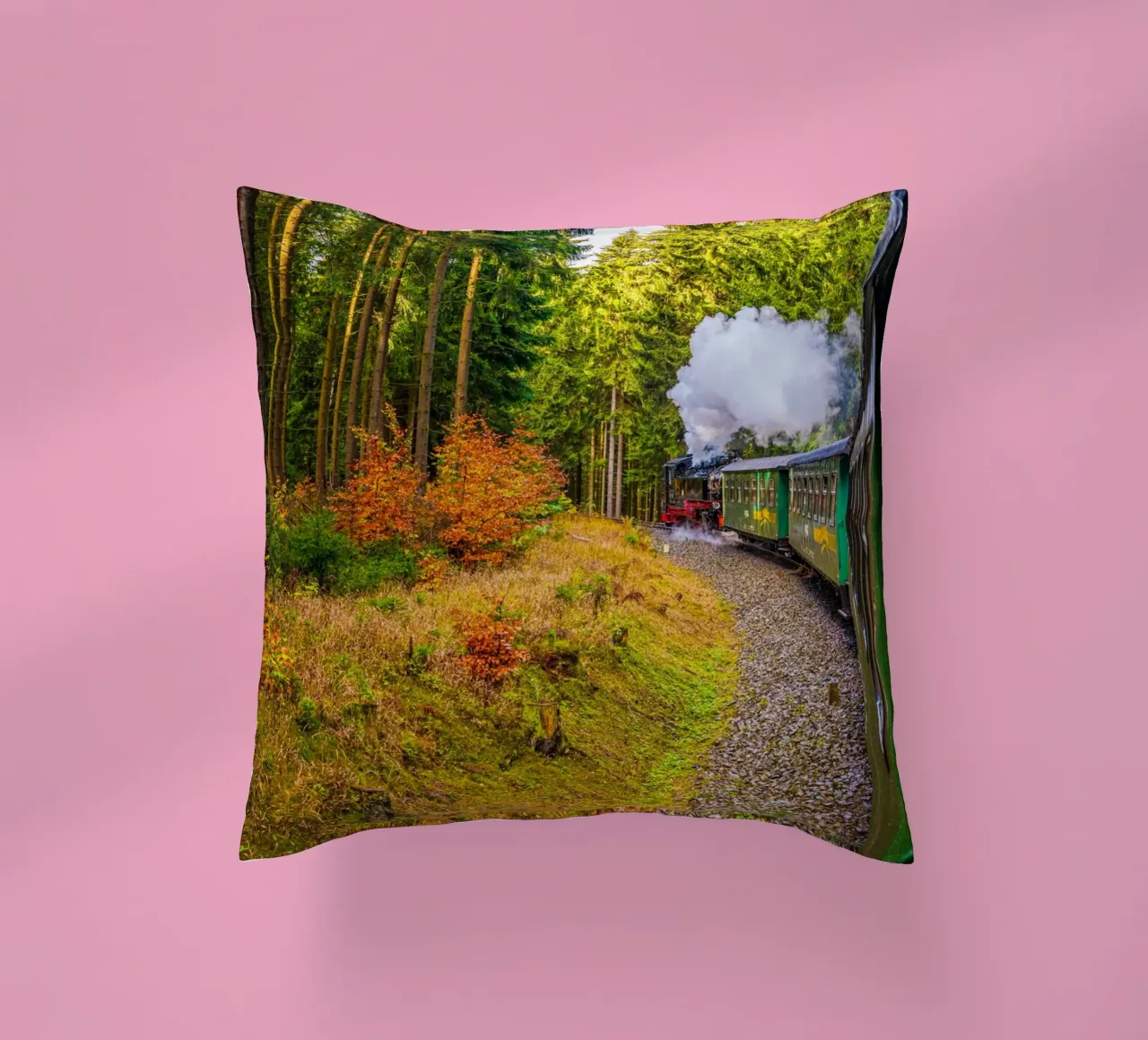 The Fichtelberg railway runs through the Ore Mountains decorative cushion by Marcus Beckert | Fotografie