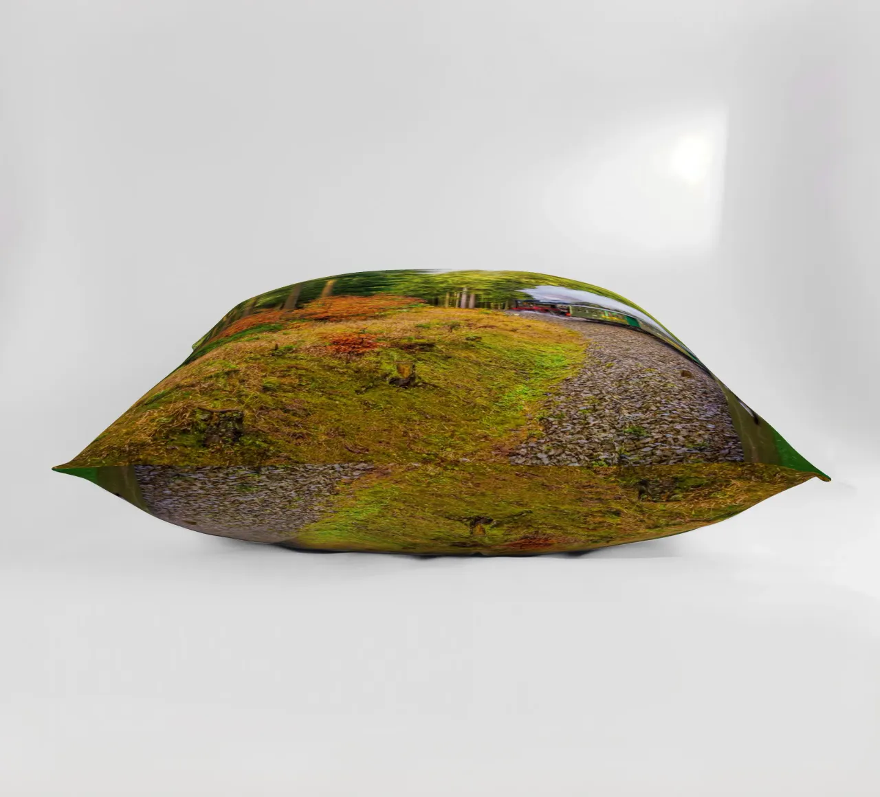 The Fichtelberg railway runs through the Ore Mountains decorative cushion by Marcus Beckert | Fotografie