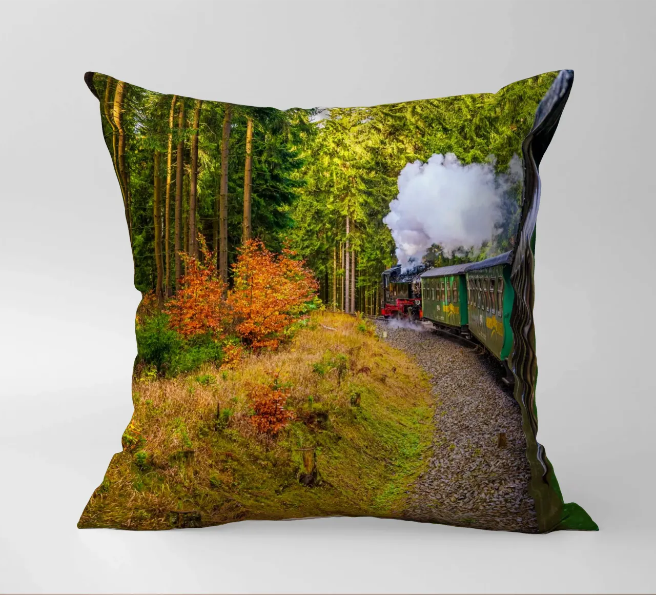 The Fichtelberg railway runs through the Ore Mountains decorative cushion by Marcus Beckert | Fotografie