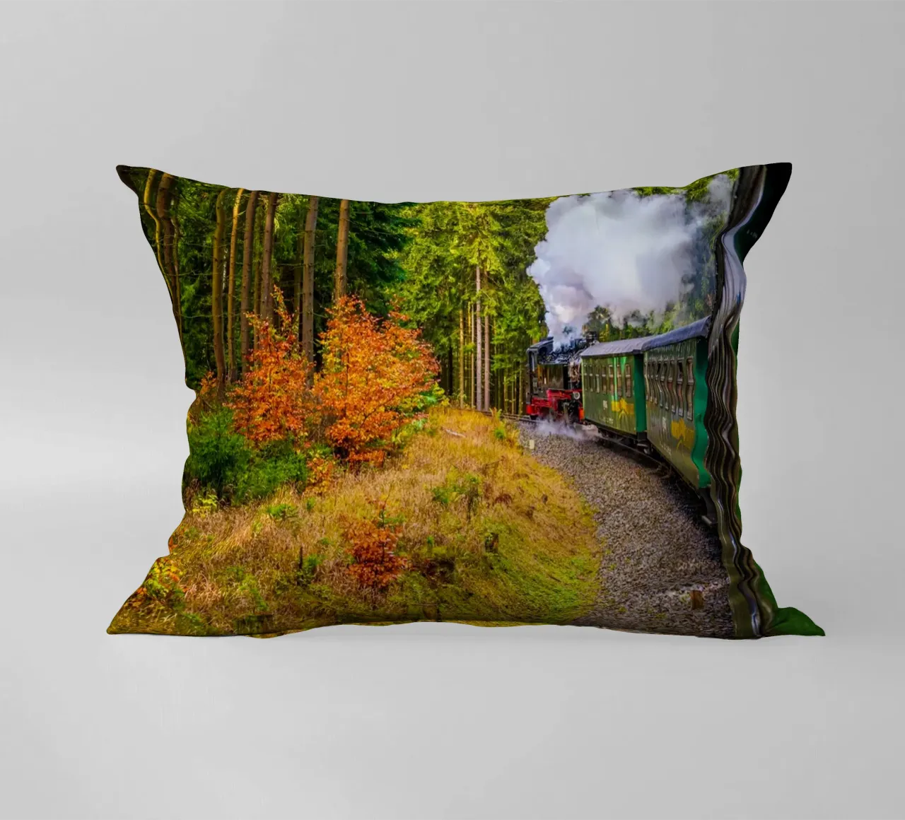The Fichtelberg railway runs through the Ore Mountains decorative cushion by Marcus Beckert | Fotografie
