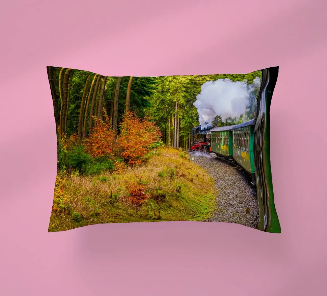 The Fichtelberg railway runs through the Ore Mountains decorative cushion by Marcus Beckert | Fotografie
